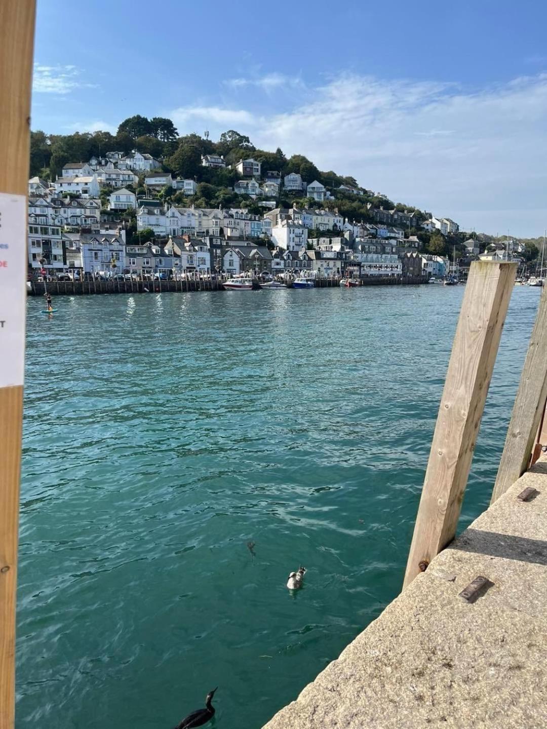 Seagull Cottage Looe Zewnętrze zdjęcie